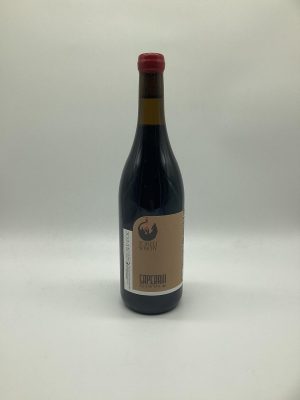 Saperavi _ Toreli Winery